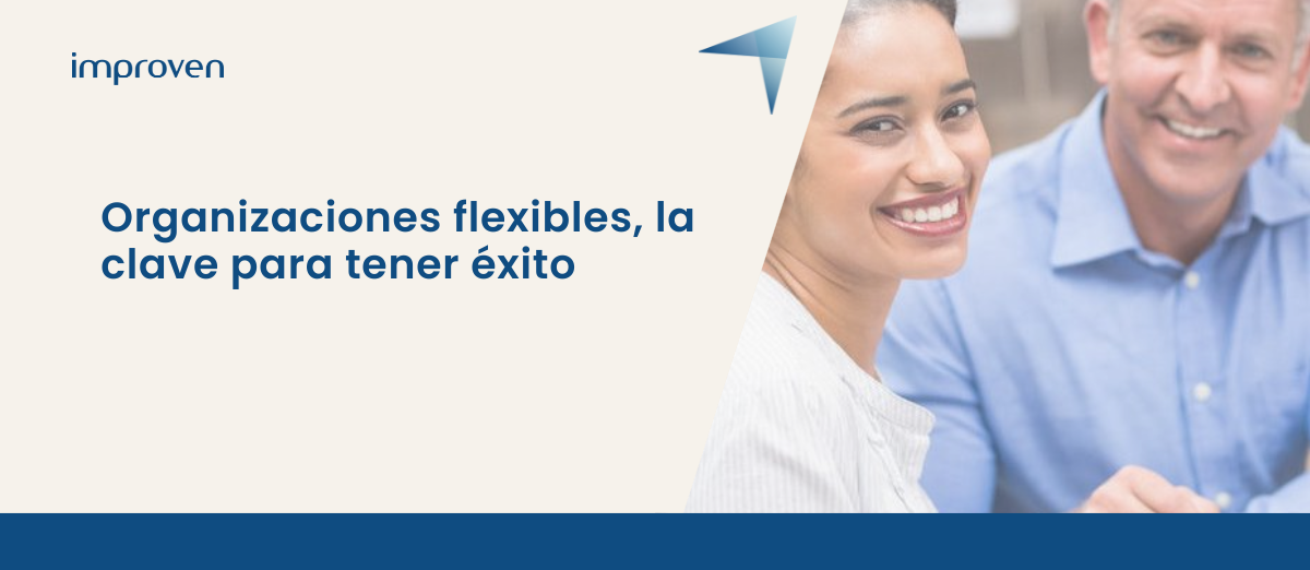 organizaciones flexibles