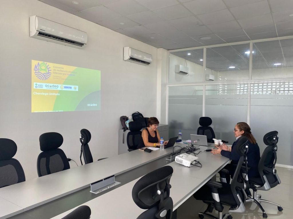 conocimiento y experiencias