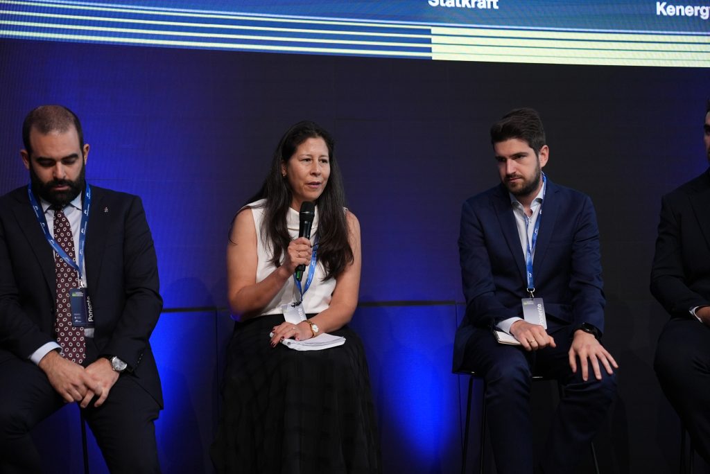 Almacenamiento energético Gabriela Mamani Lehue