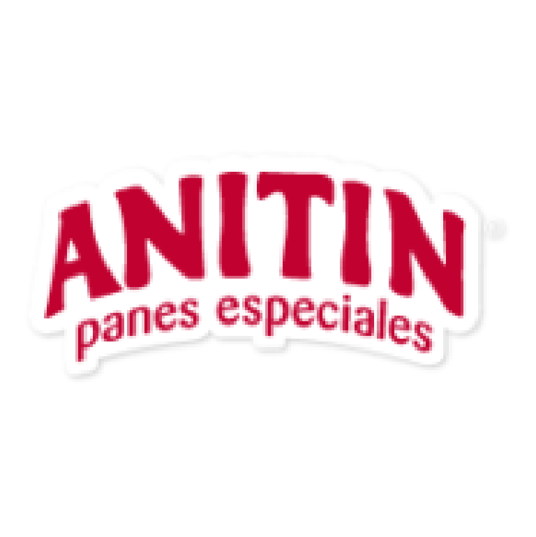 logo anitin - improven